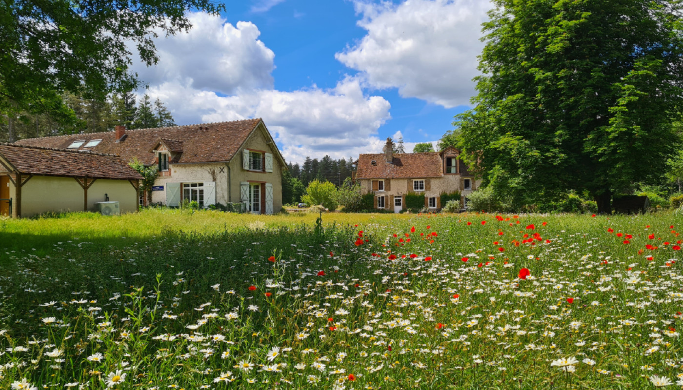 Le Moulin de Crouy, un gîte familial situé dans un ancien moulin aménagé
